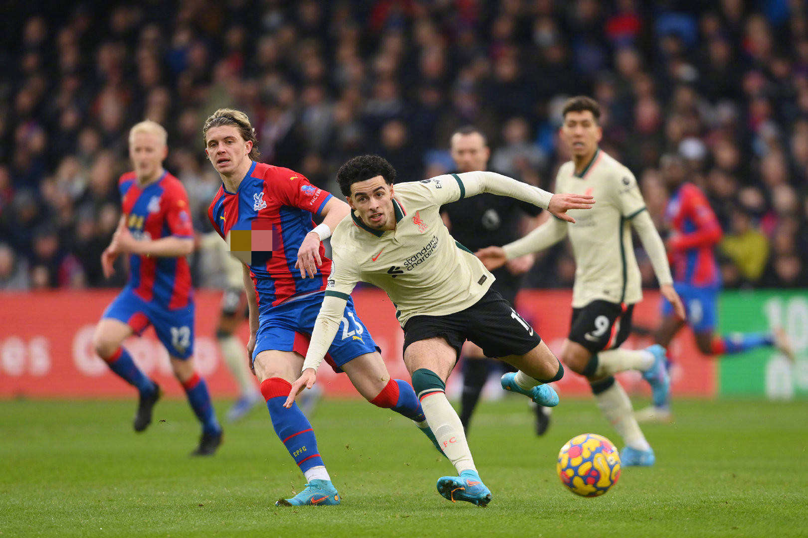 的爆料为这 的爆料为这